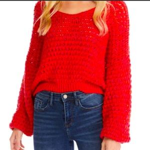 NWT Free People Dragonfruit sweater